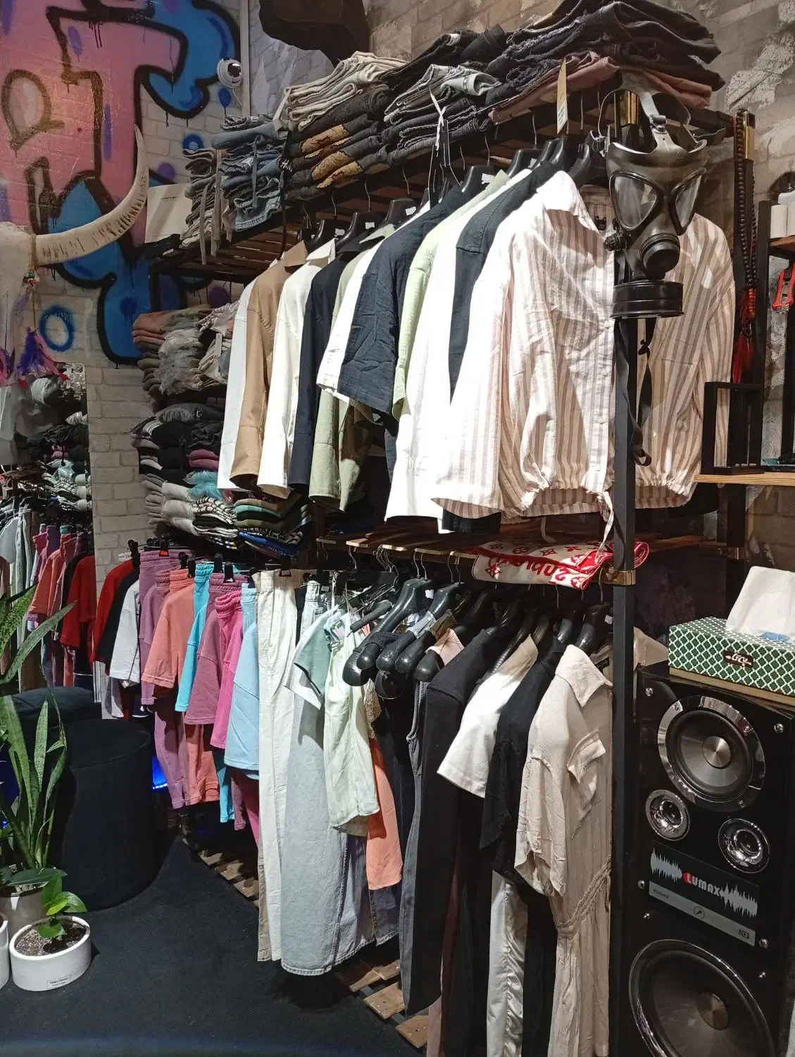 دکور مغازه بوتیک رگال قفسه دوربین مداربسته مانکن.|فروشگاه و مغازه|تهران, نیلوفر|دیوار