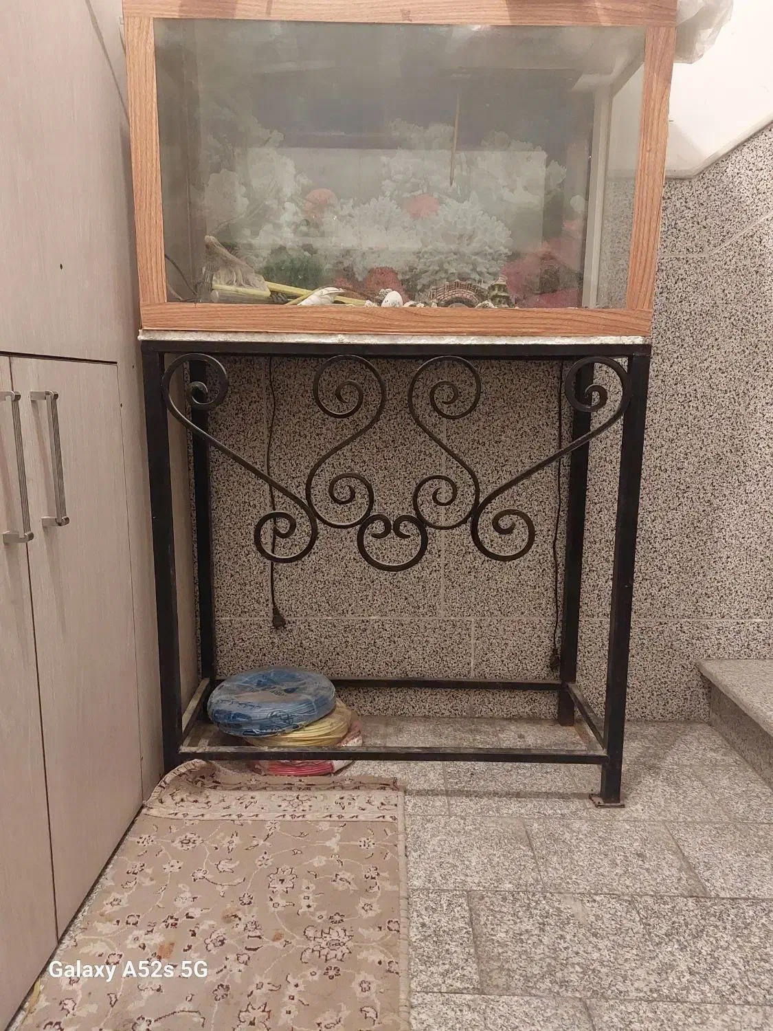 آکواریوم کامل|ماهی|قم, باغ شریفی|دیوار