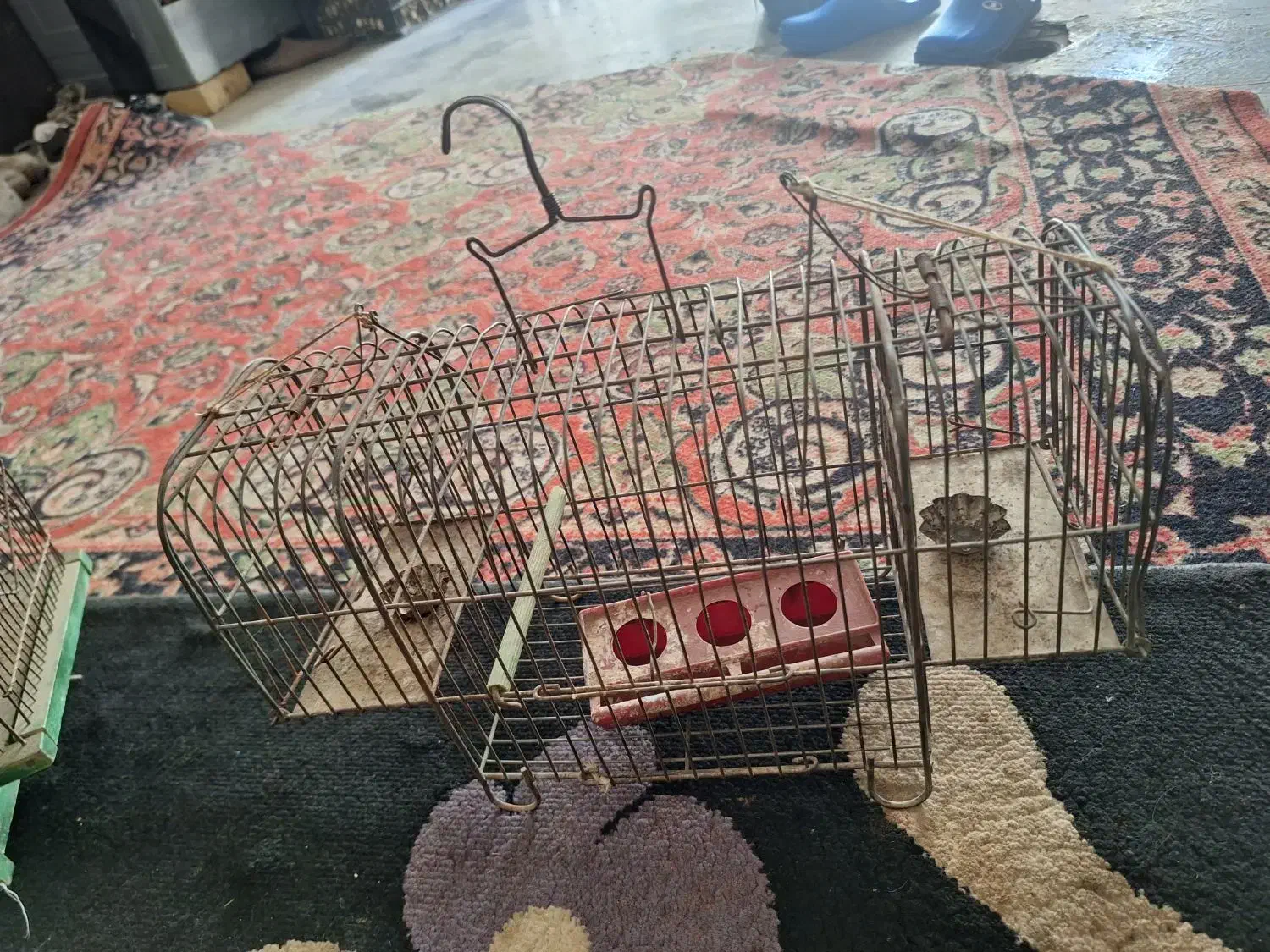 تله سهره|لوازم جانبی حیوانات|همدان, |دیوار