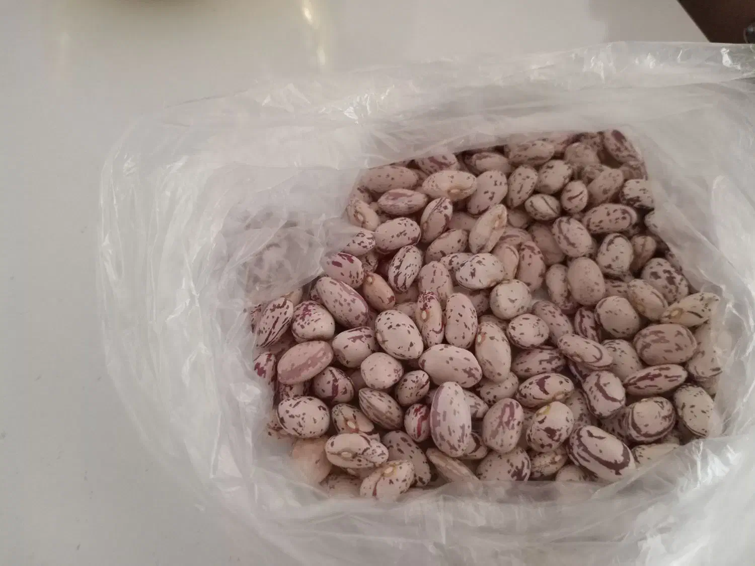 فروش لوبیا چیتی و دولتی|عمدهفروشی|سراب, |دیوار