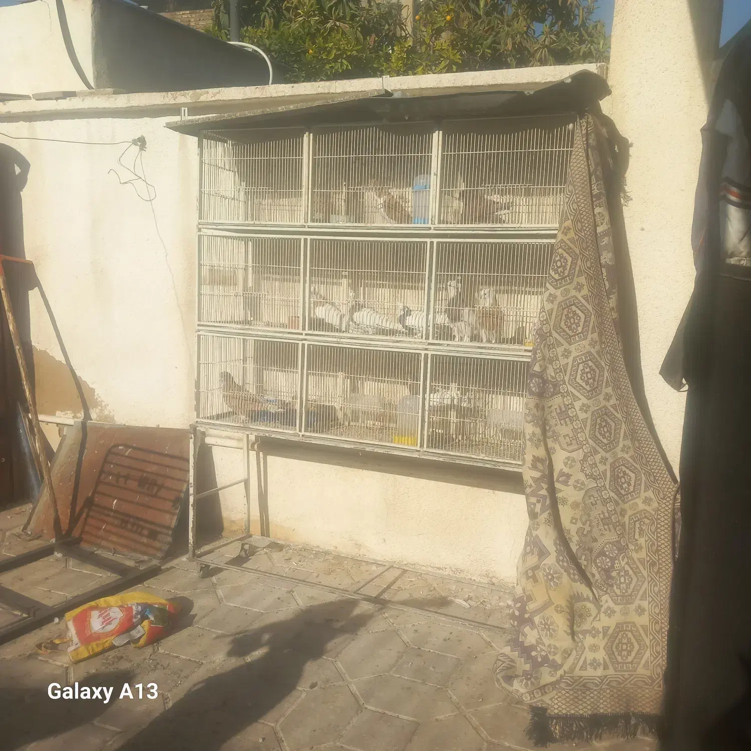 قفس ۹تا تایی با کفی متحرک|لوازم جانبی حیوانات|شیراز, تندگویان|دیوار