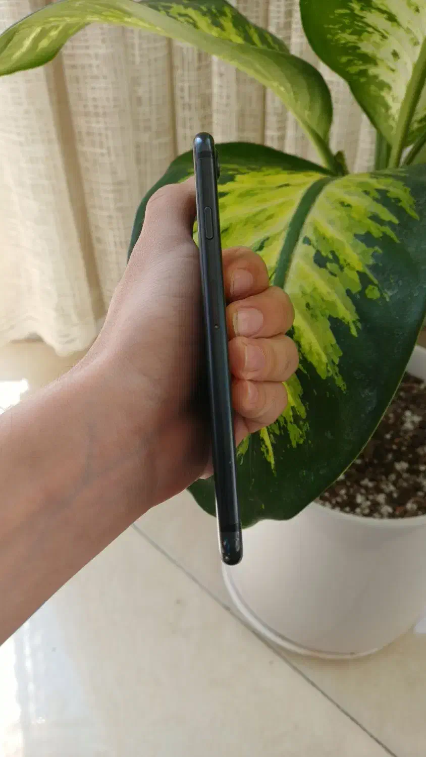 آیفون ۷ حافظه ۲۵۶ گیگ درحدنو|موبایل|مشهد, کوی المهدی|دیوار