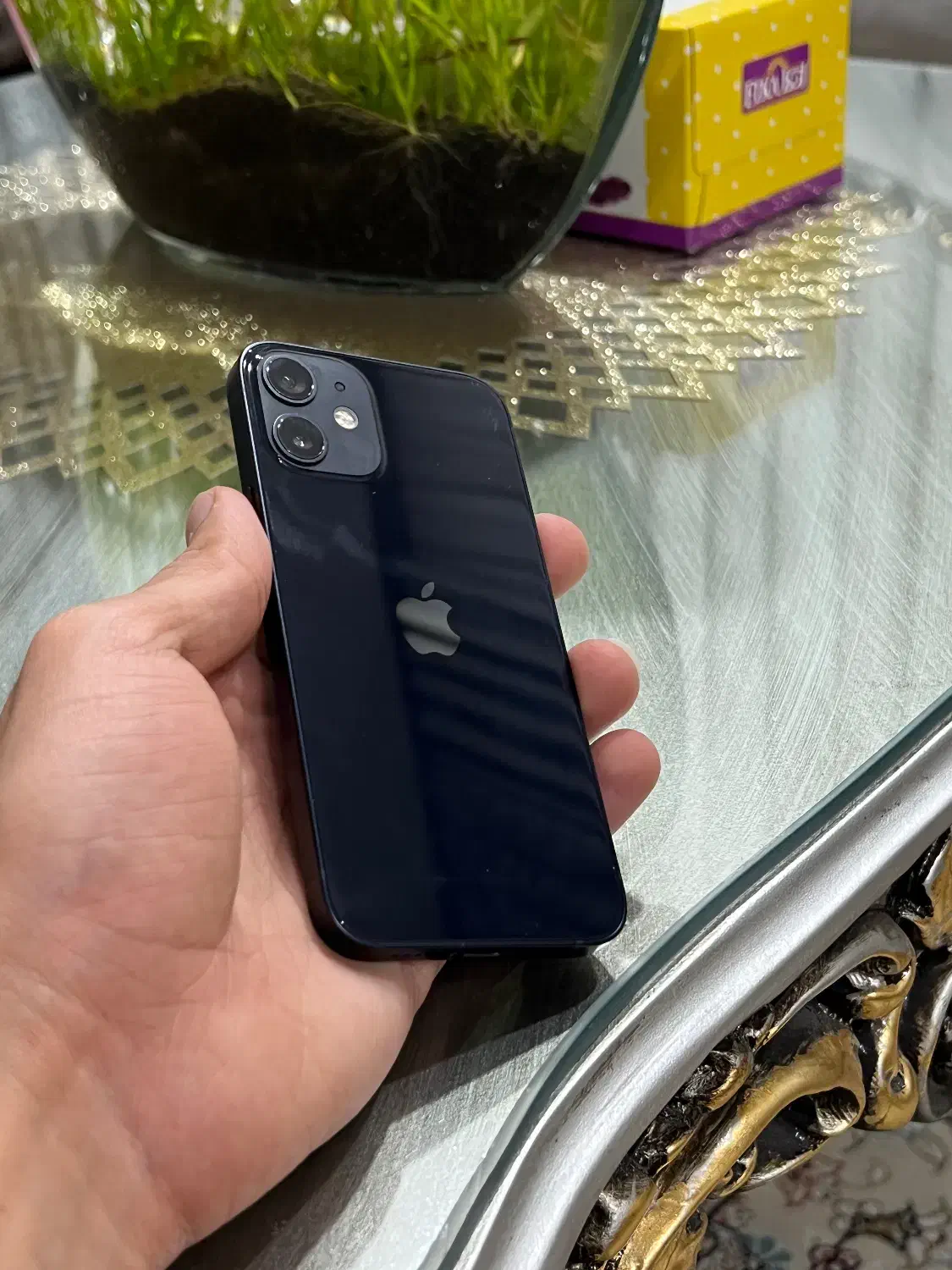 ایفون ۱۲مینی ۱۲۸ گیگ پک اصلی|موبایل|مشهد, شاهد (شهرک غرب)|دیوار