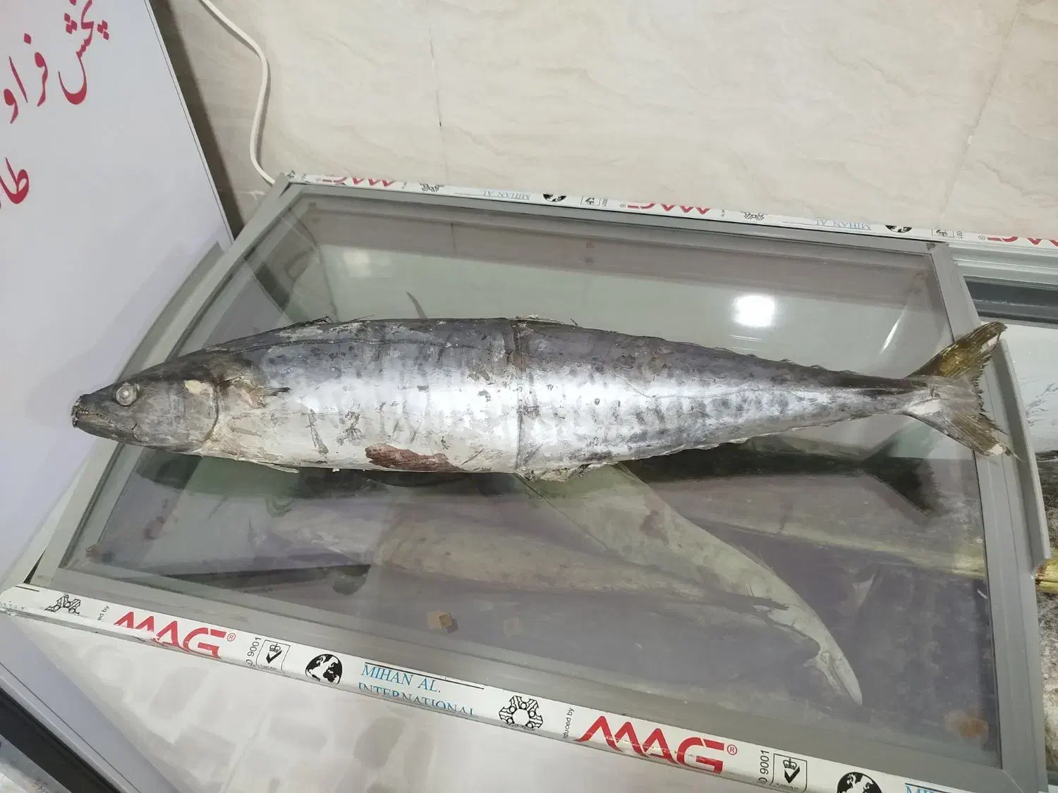 وسایل ماهی فروشی|فروشگاه و مغازه|سراوان, |دیوار