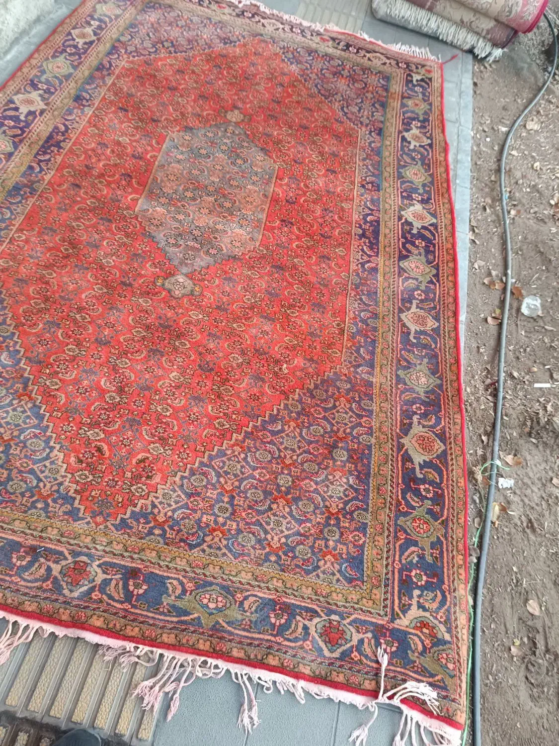 جفت فرش 6متری دستباف|فرش|قم, نیروگاه|دیوار
