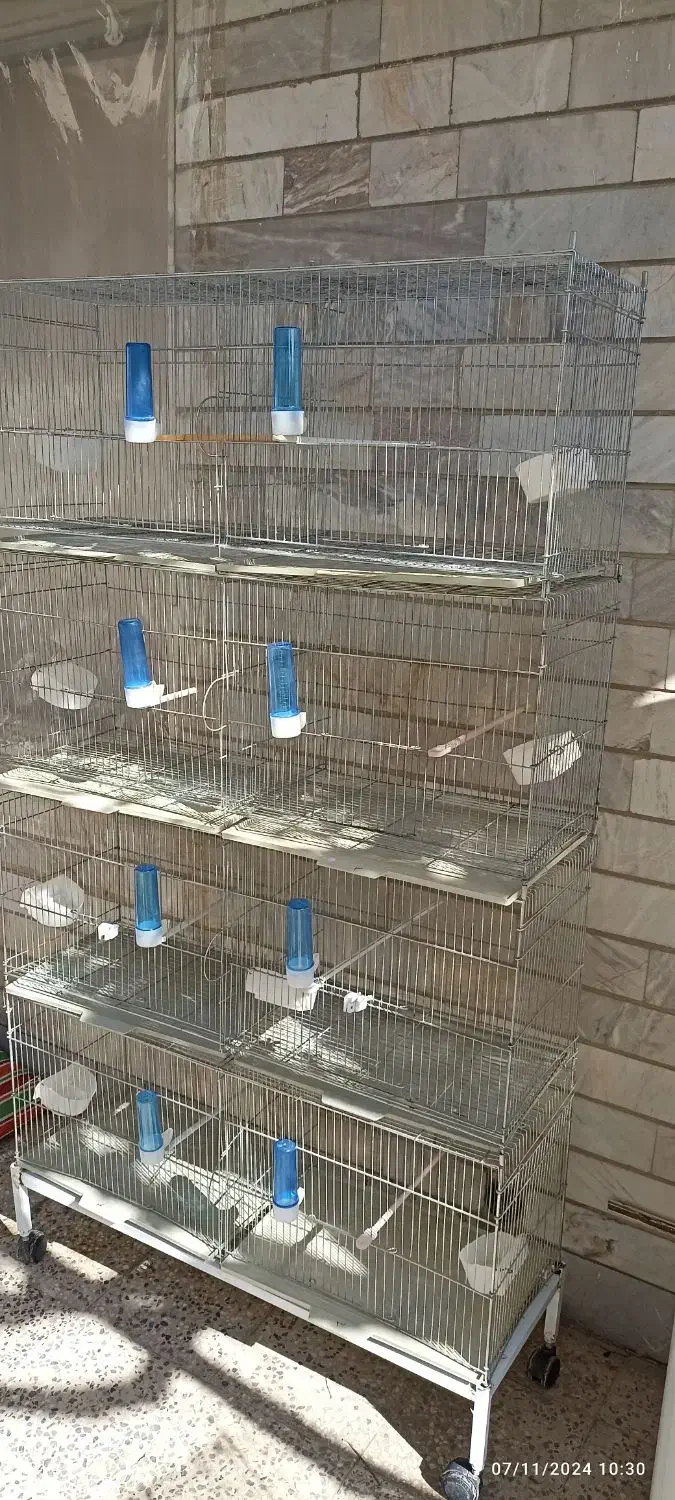 قفس هشت خان تا شو در حد نو|لوازم جانبی حیوانات|سامان, |دیوار