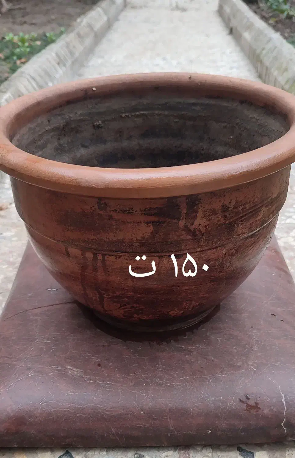 گلدان سفالی|گل و گیاه طبیعی|گنبد کاووس, |دیوار