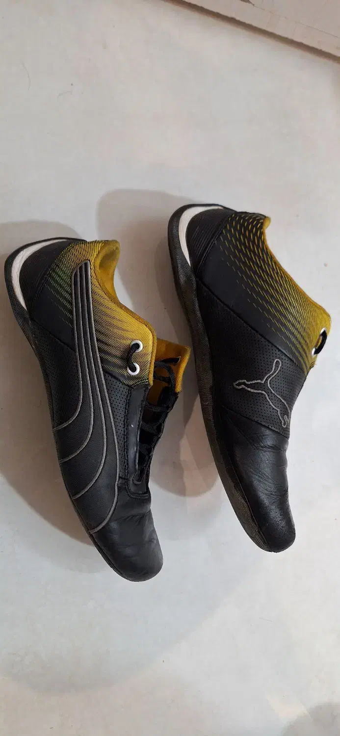 کفش ورزشی و دوچرخه سواری پوما|کیف، کفش، کمربند|مشهد, فرهنگیان (شهرک غرب)|دیوار