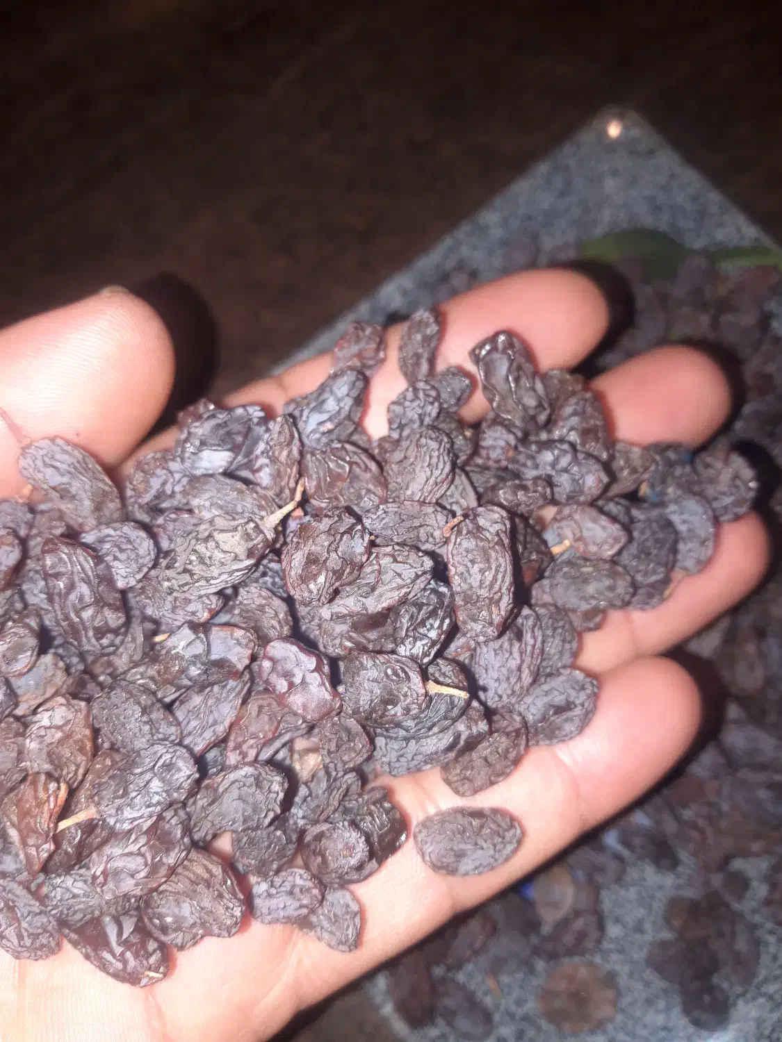 کشمش افتابی و تیزابی و مخصوص آبگیری|خوردنی و آشامیدنی|رودسر, |دیوار