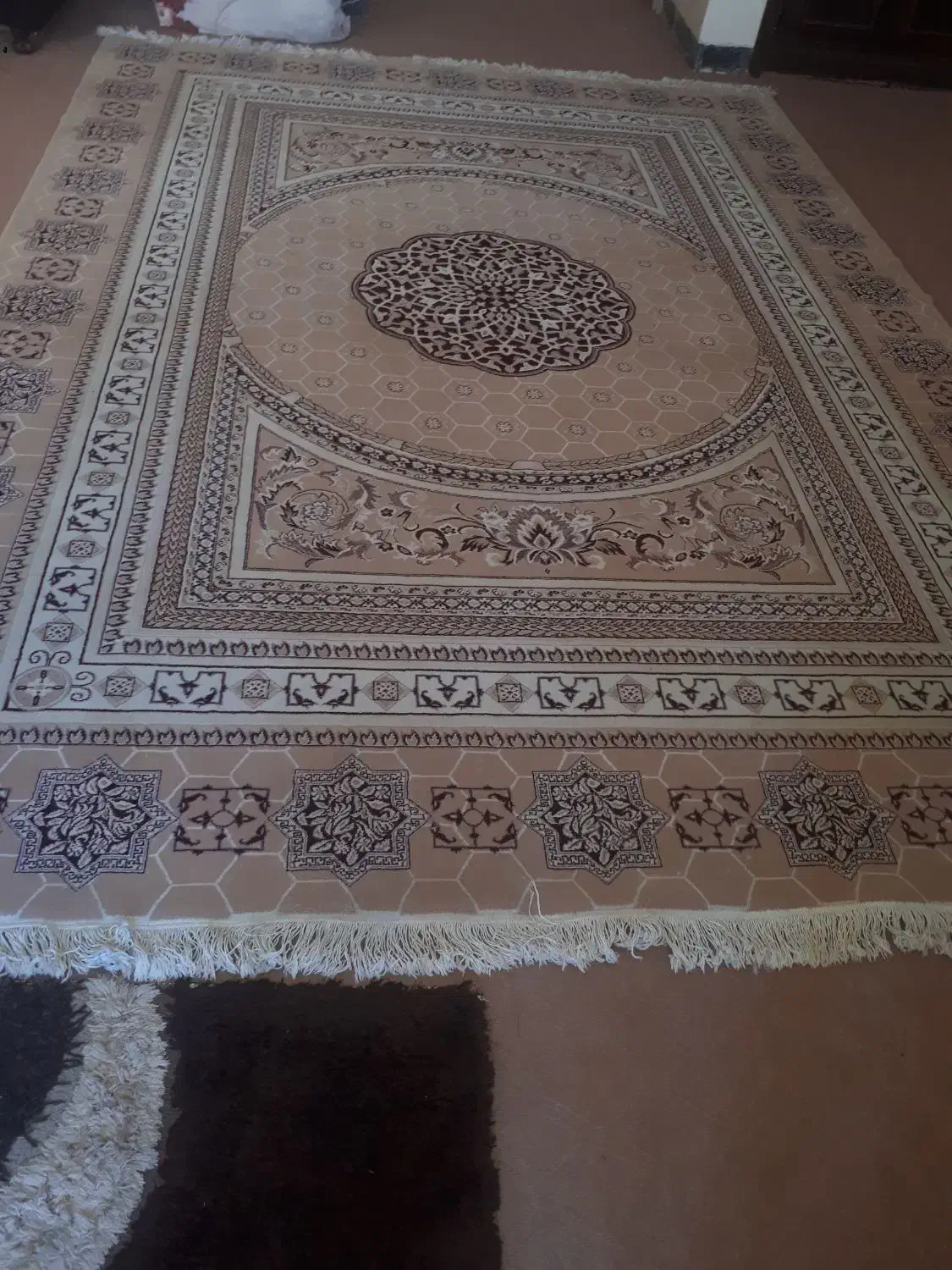 فرش|فرش|بوشهر, |دیوار