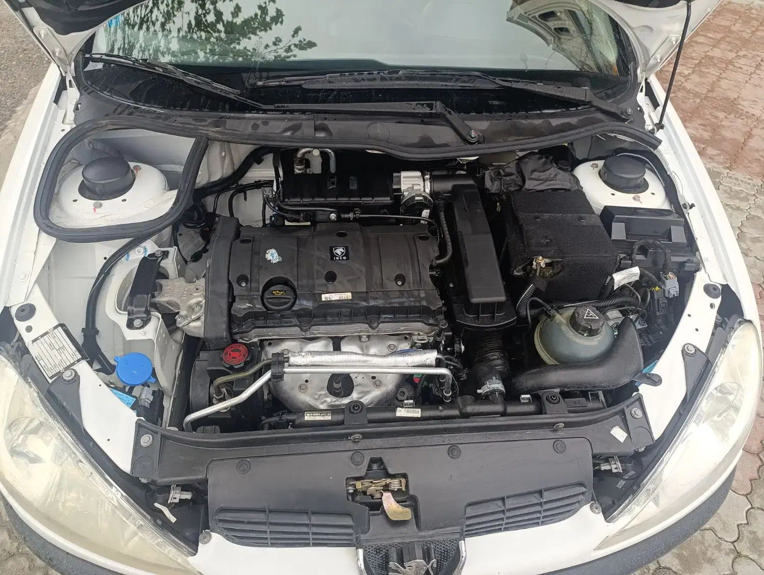 206 sd v8|خودرو سواری و وانت|تبریز, |دیوار