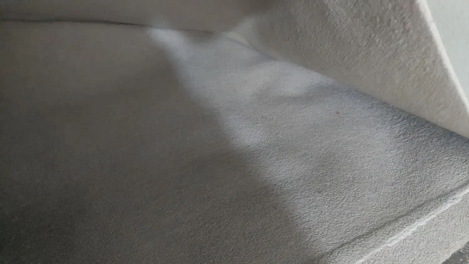 موکت ظریف|موکت|اهواز, کیانپارس |دیوار