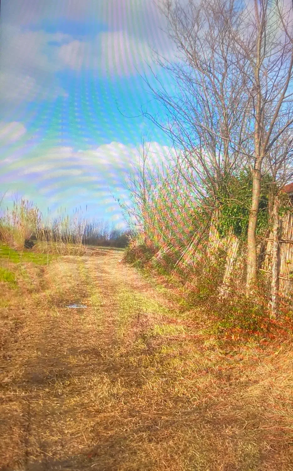 1000متر زمین مسکونی|فروش زمین و ملک کلنگی|رشت, فلسطین|دیوار