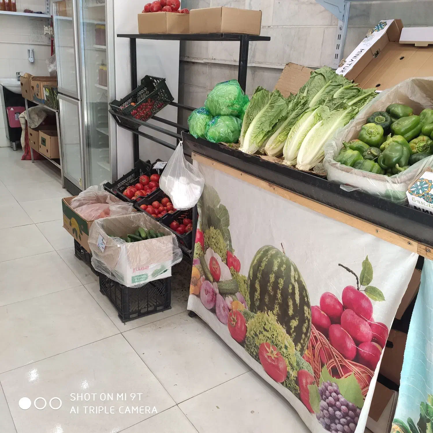 فروش یخچال،پالت،ترازو میوه فروشی|فروشگاه و مغازه|سنندج, |دیوار