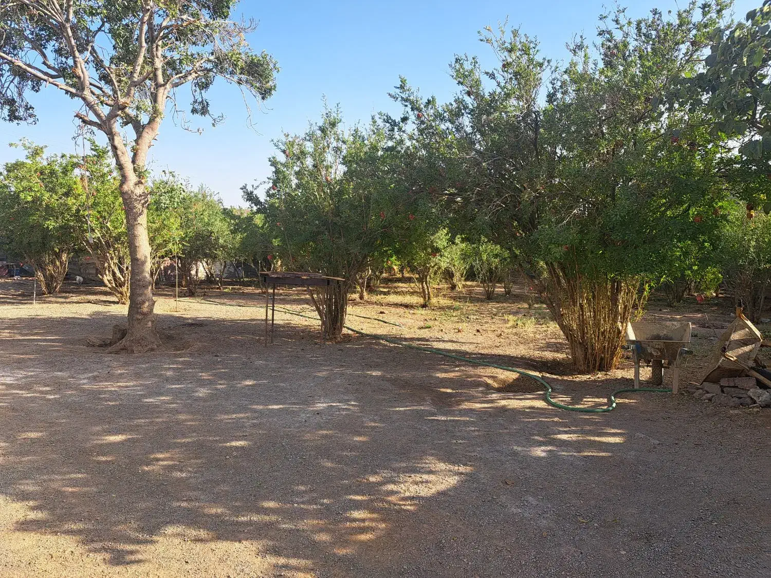 داخل بافت|فروش زمین و ملک کلنگی|ملارد, |دیوار