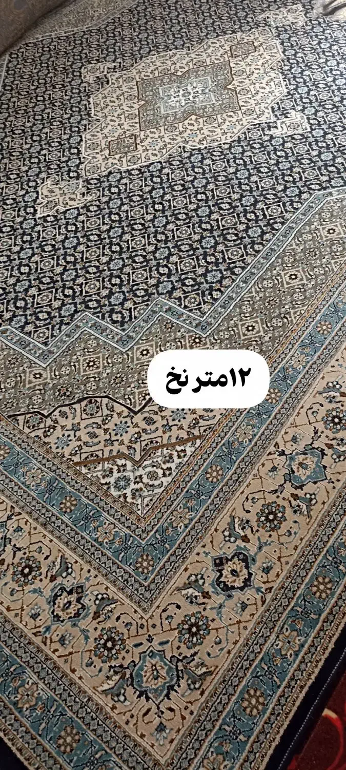 12متری نخ|فرش|زاهدان, |دیوار