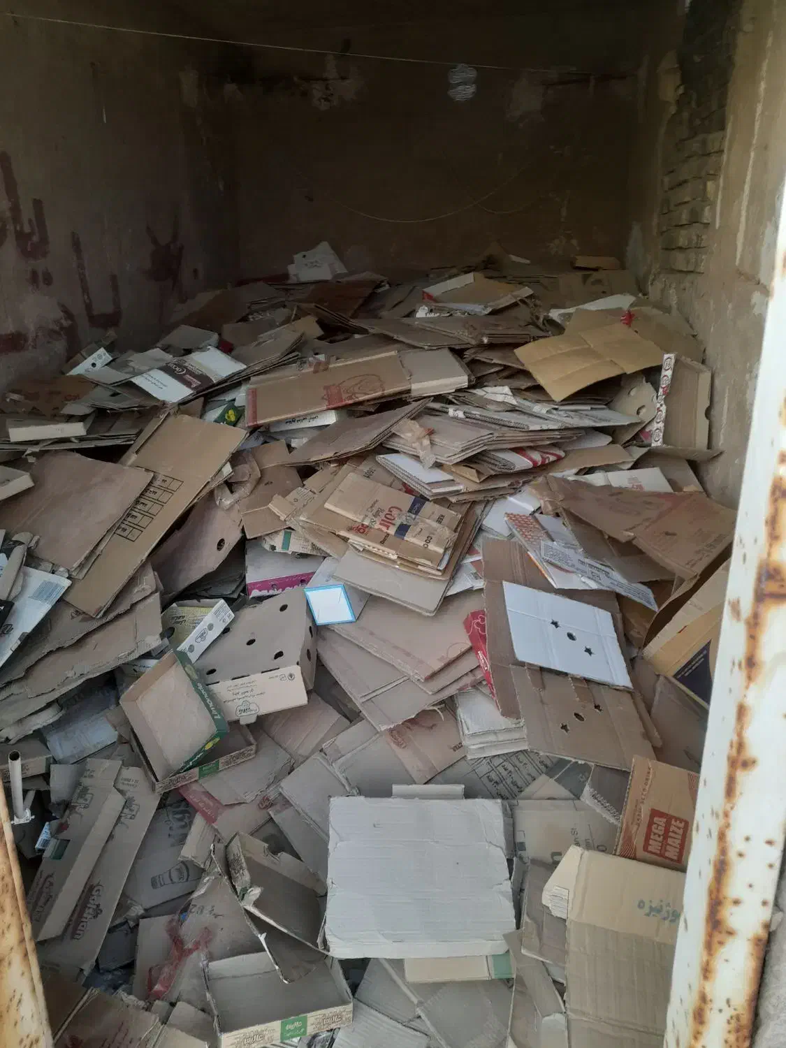 فروش کارتن|مواد شوینده و دستمال کاغذی|یزد, |دیوار