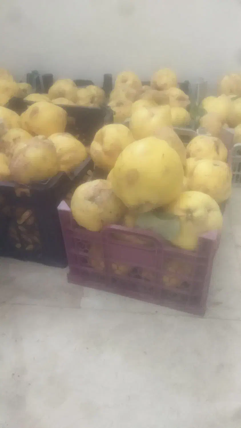 به درجه یک|خوردنی و آشامیدنی|نطنز, |دیوار