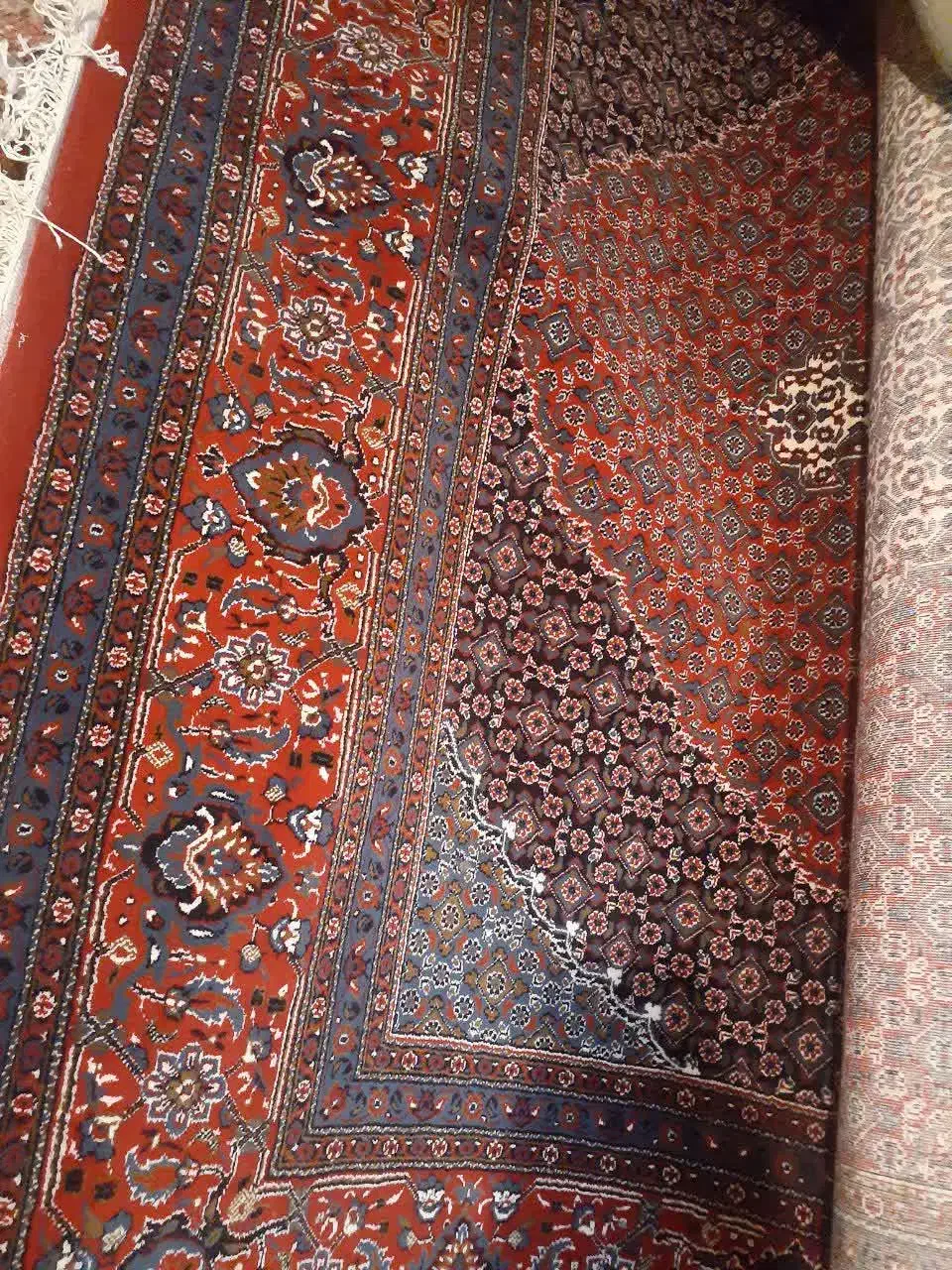 یک جفت فرش ماشینی|فرش|بیرجند, |دیوار