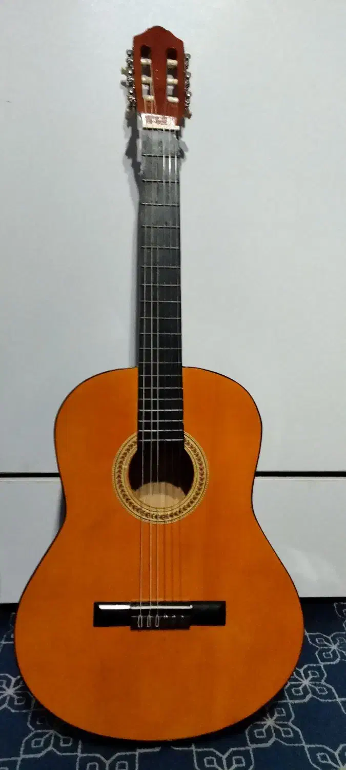 گیتار کلاسیک|گیتار، بیس، امپلیفایر|بندر گز, |دیوار