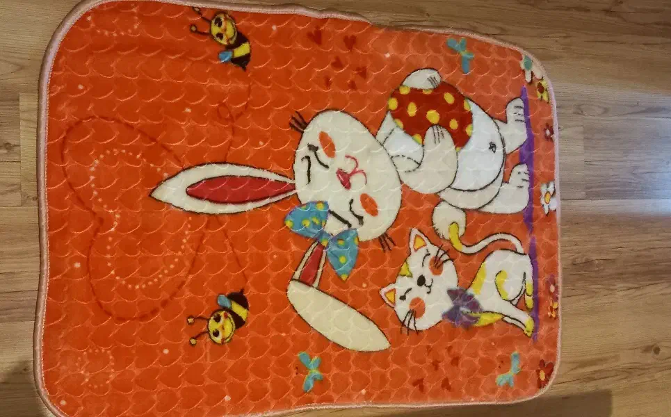 پتو نوجوانی|رختخواب، بالش، پتو|قوچان, |دیوار