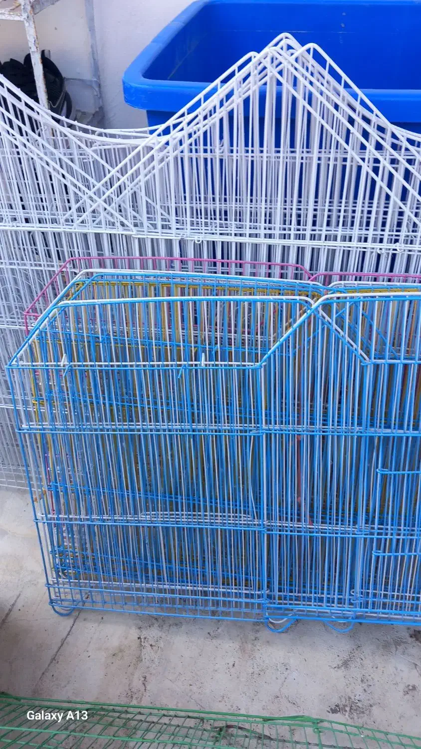 لوازم پرنده|لوازم جانبی حیوانات|تالش, تالش|دیوار