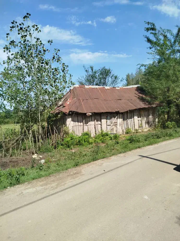 زمین شفت روستا بیجار سر|فروش زمین و ملک کلنگی|رشت, سلیمانداراب|دیوار