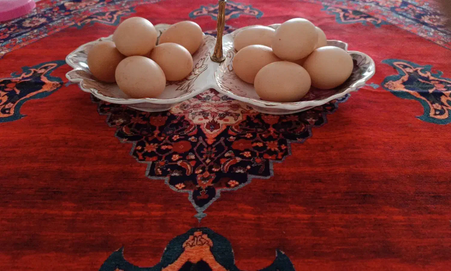 تخم مرغ محلی|خوردنی و آشامیدنی|نهبندان, |دیوار