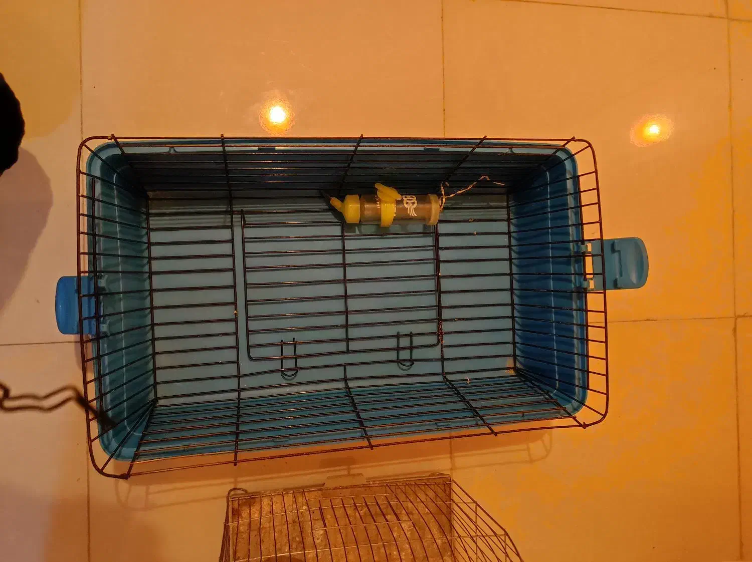 وسایل خوکچه هندی و خرگوش|لوازم جانبی حیوانات|تهران, امیریه|دیوار