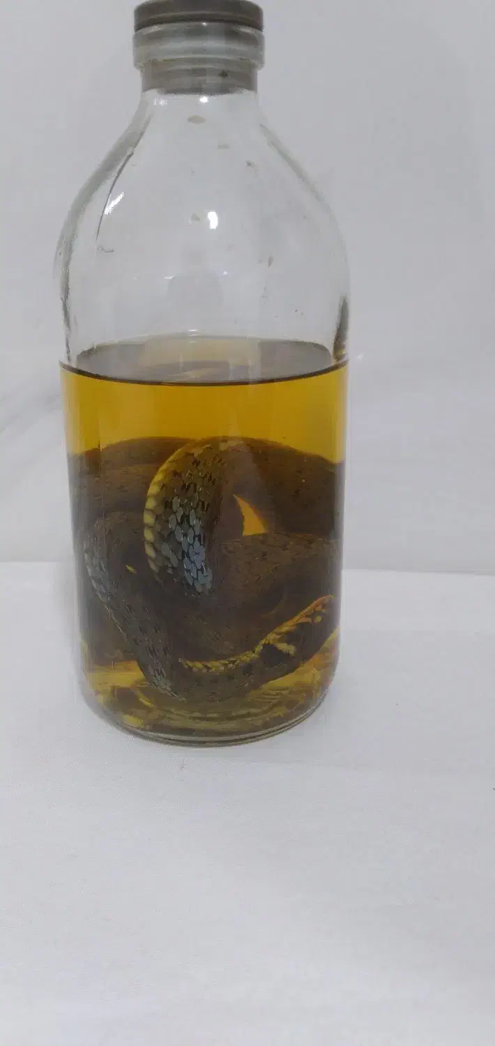 کلکسیونی و کمیاب|کلکسیون اشیاء عتیقه|ملارد, |دیوار