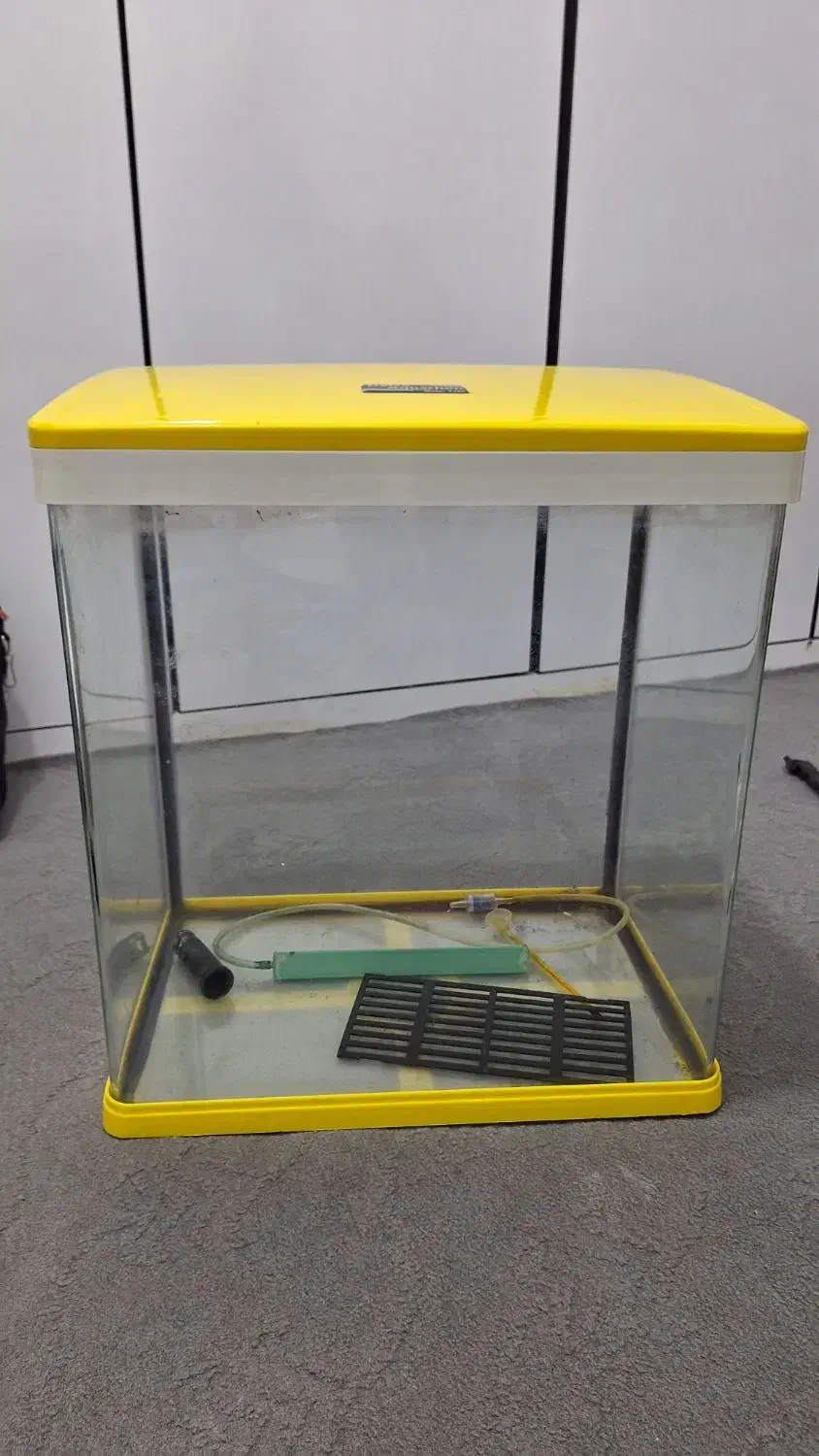 آکواریوم|ماهی|ارومیه, |دیوار