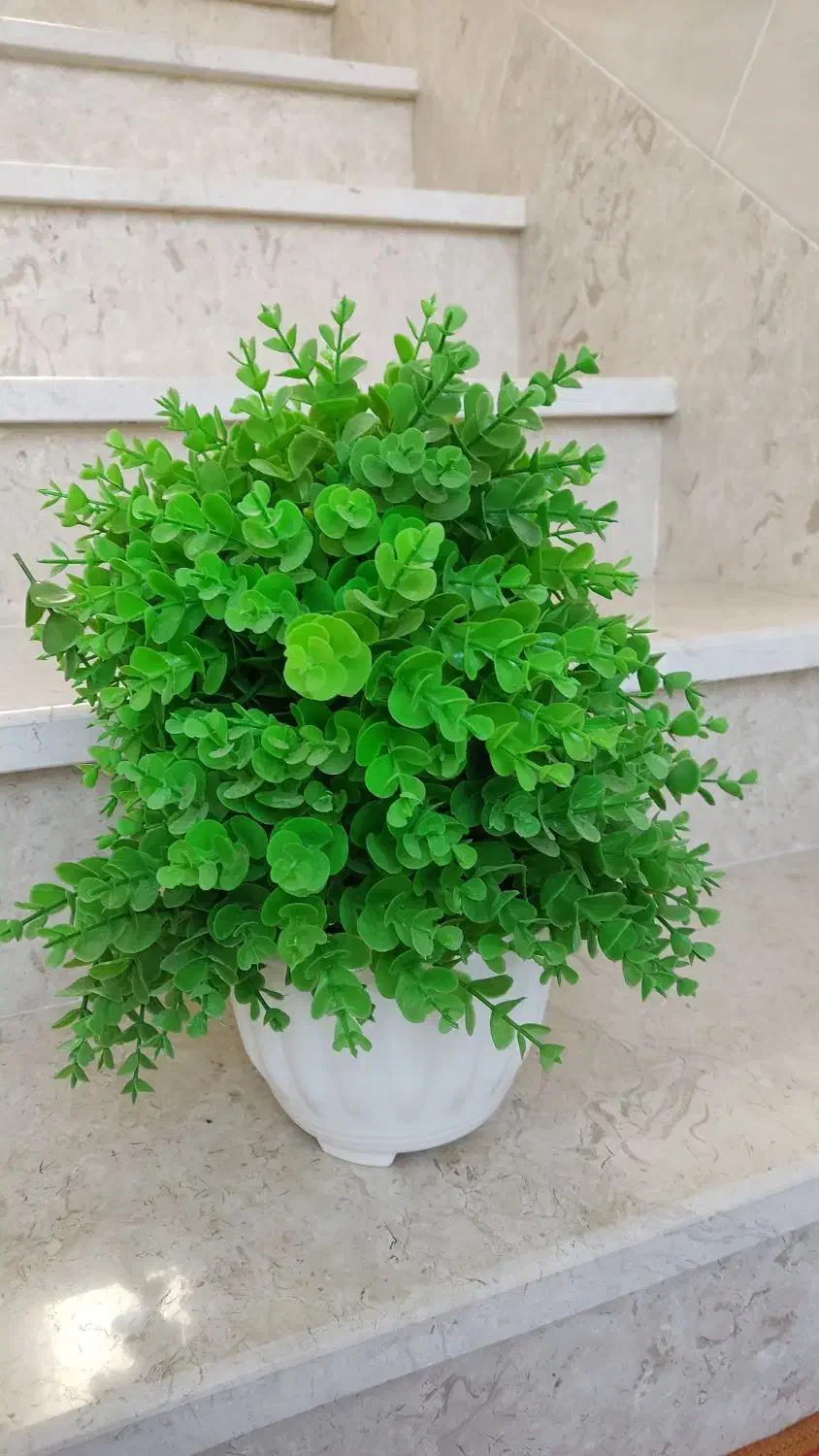 گل شمشاد مصنوعی|گل مصنوعی|مرند, |دیوار
