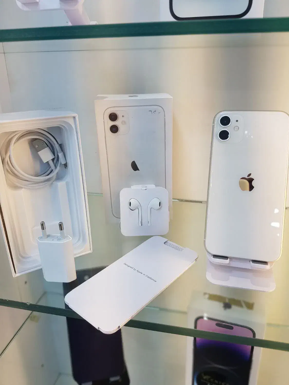 اقساط آیفون ۱۱ نرمال iphone 11normall|موبایل|شیراز, زند|دیوار
