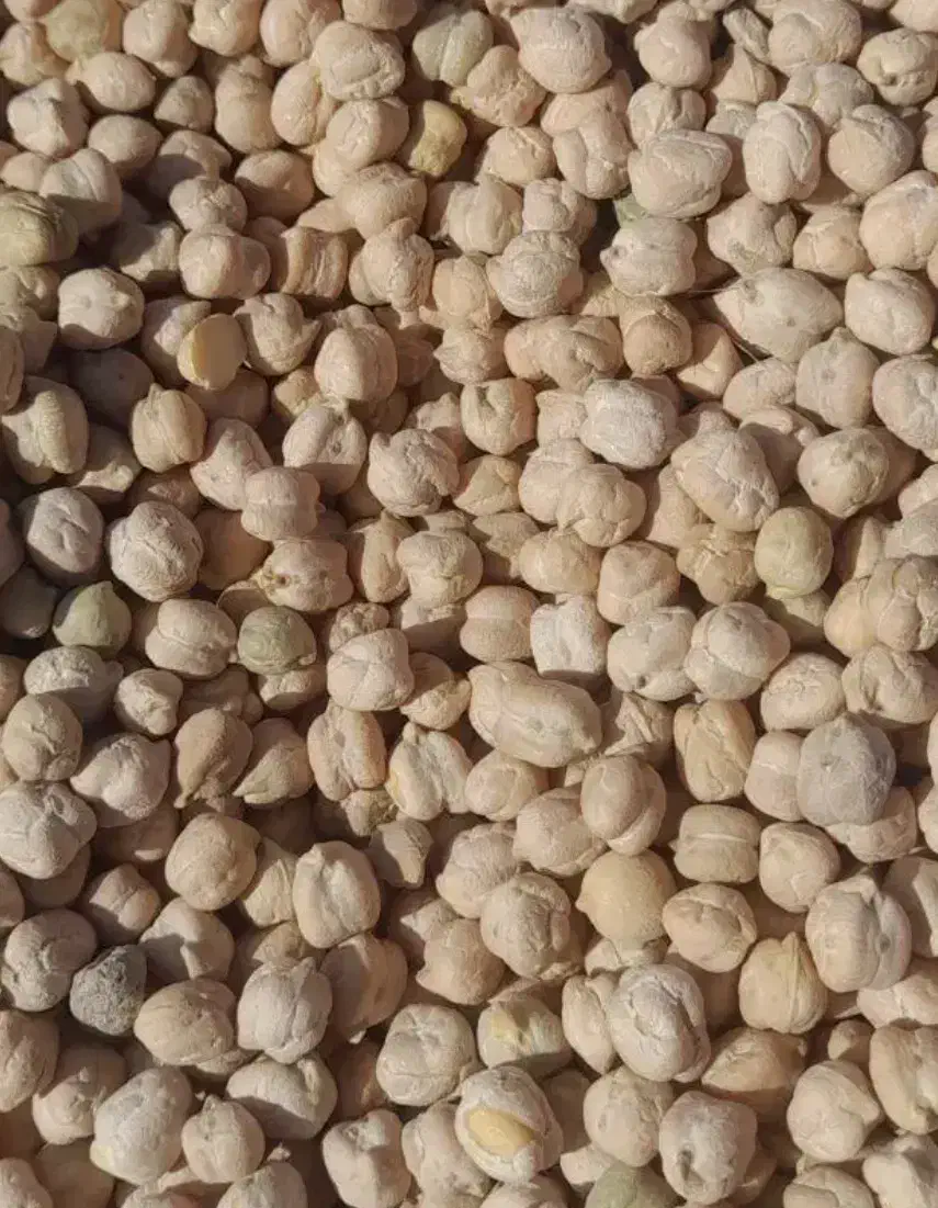 نخود|خوردنی و آشامیدنی|رزن, |دیوار