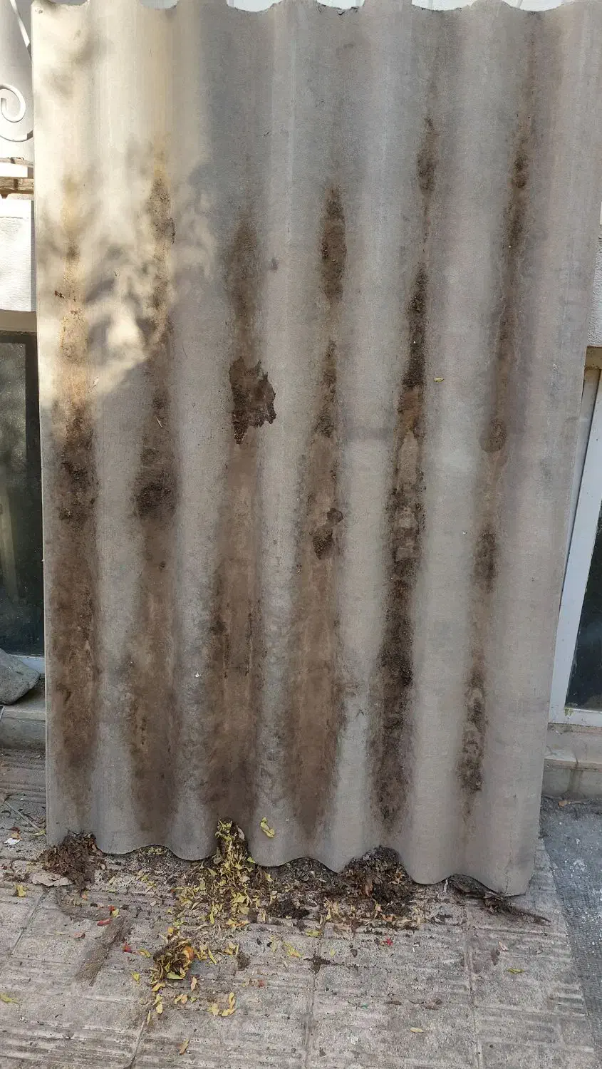 ورق سیمانی|مصالح و تجهیزات ساختمان|تهران, حکیمیه|دیوار