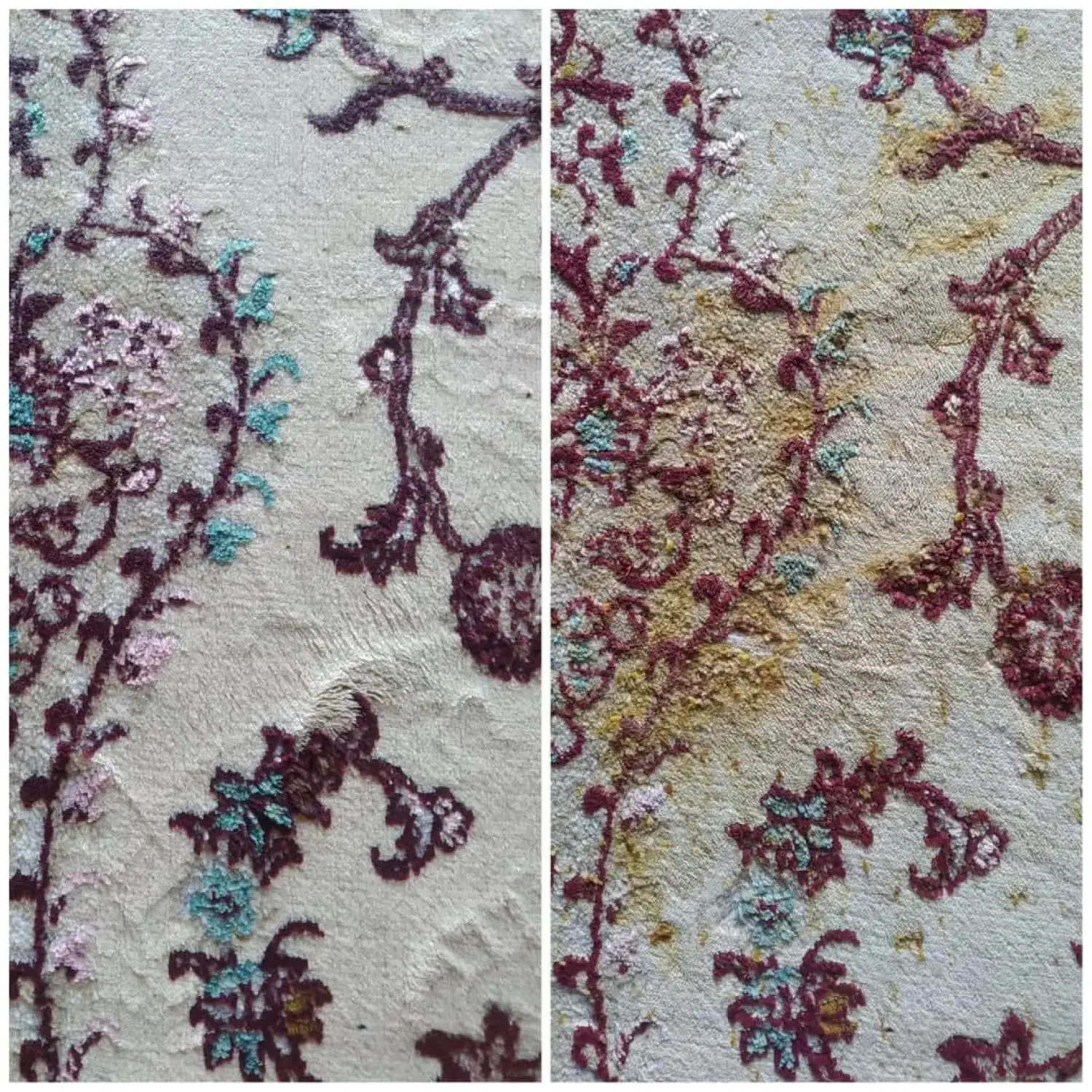 قالیشویی،مبلشویی،قالی شویی،موکت شویی،شستشو دستبافت|خدمات نظافت|اصفهان, فرح آباد|دیوار