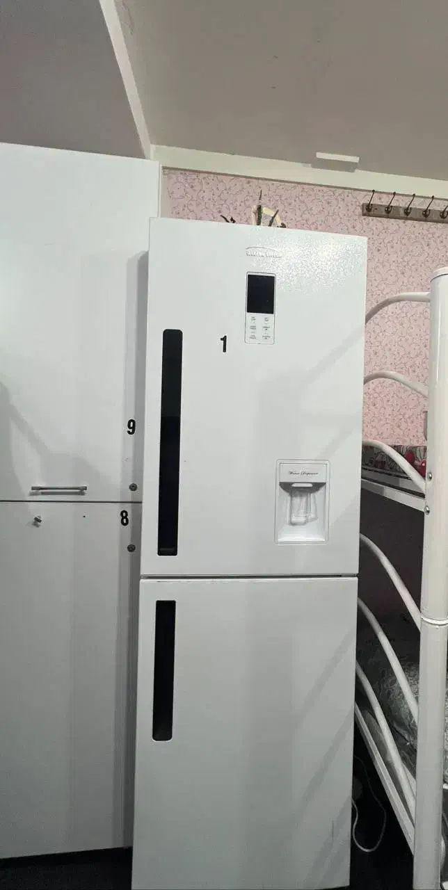 خوابگاه|اجارهٔ خانه و ویلا|رشت, دباغیان|دیوار