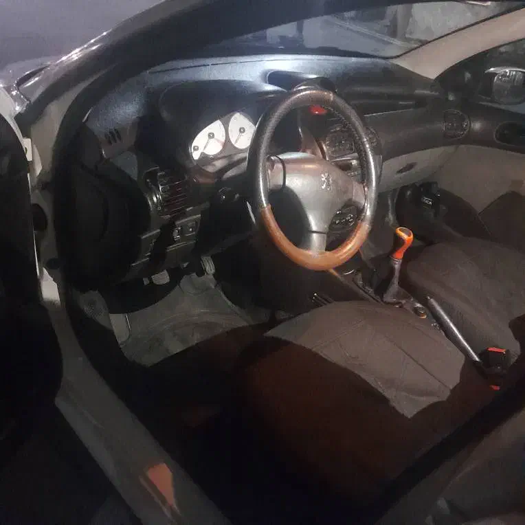 ۲۰۶sdv8مدل۹۴|خودرو سواری و وانت|تهران, دولاب|دیوار