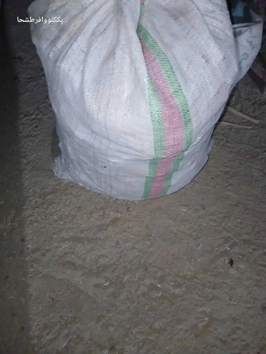 یه کیسه نان خشک پیدا شده|اشیا|زابل, |دیوار