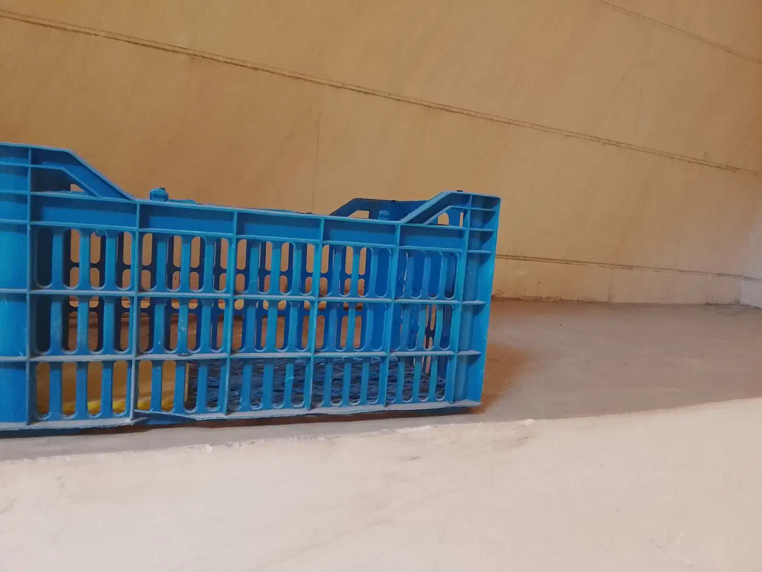 دبه 20لیتری|ظروف نگهدارنده، پلاستیکی، یک‌بارمصرف|کرج, باغستان|دیوار