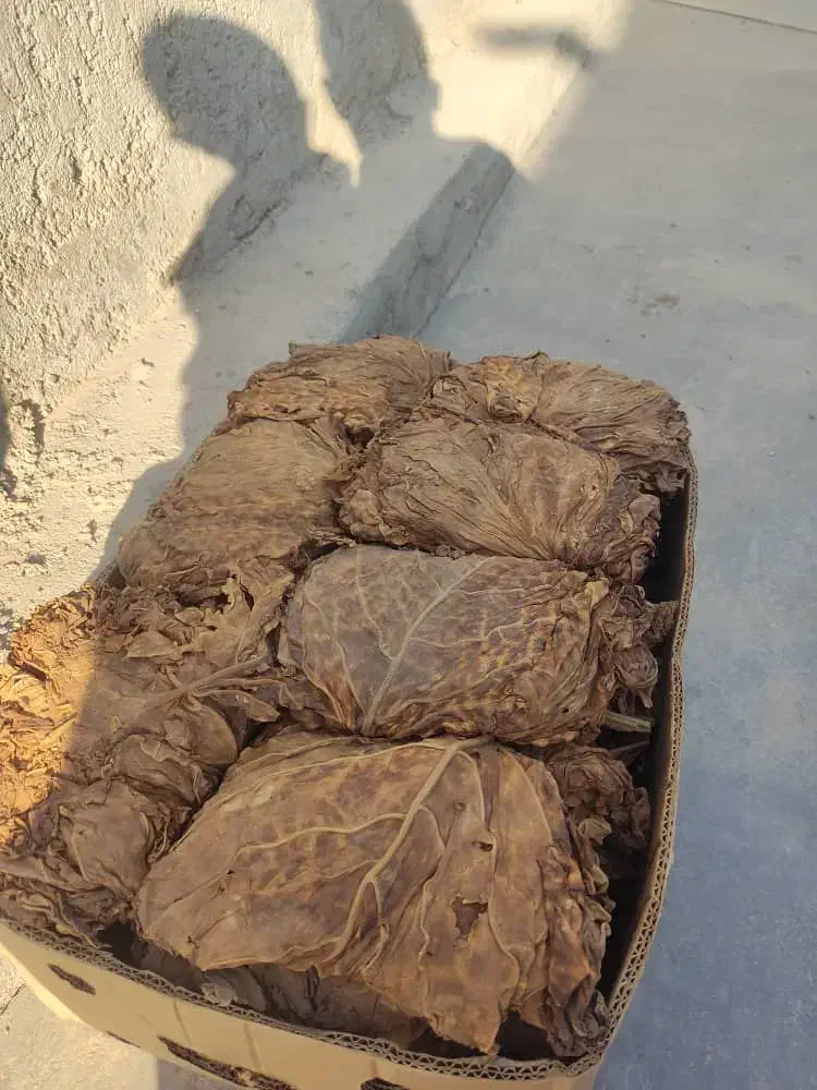 برگ زرد|عمدهفروشی|کاکی, |دیوار