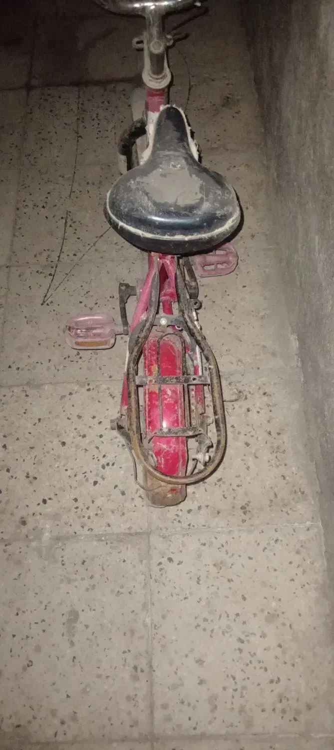 دوچرخه|دوچرخه، اسکیت، اسکوتر|تربت جام, والفجر|دیوار