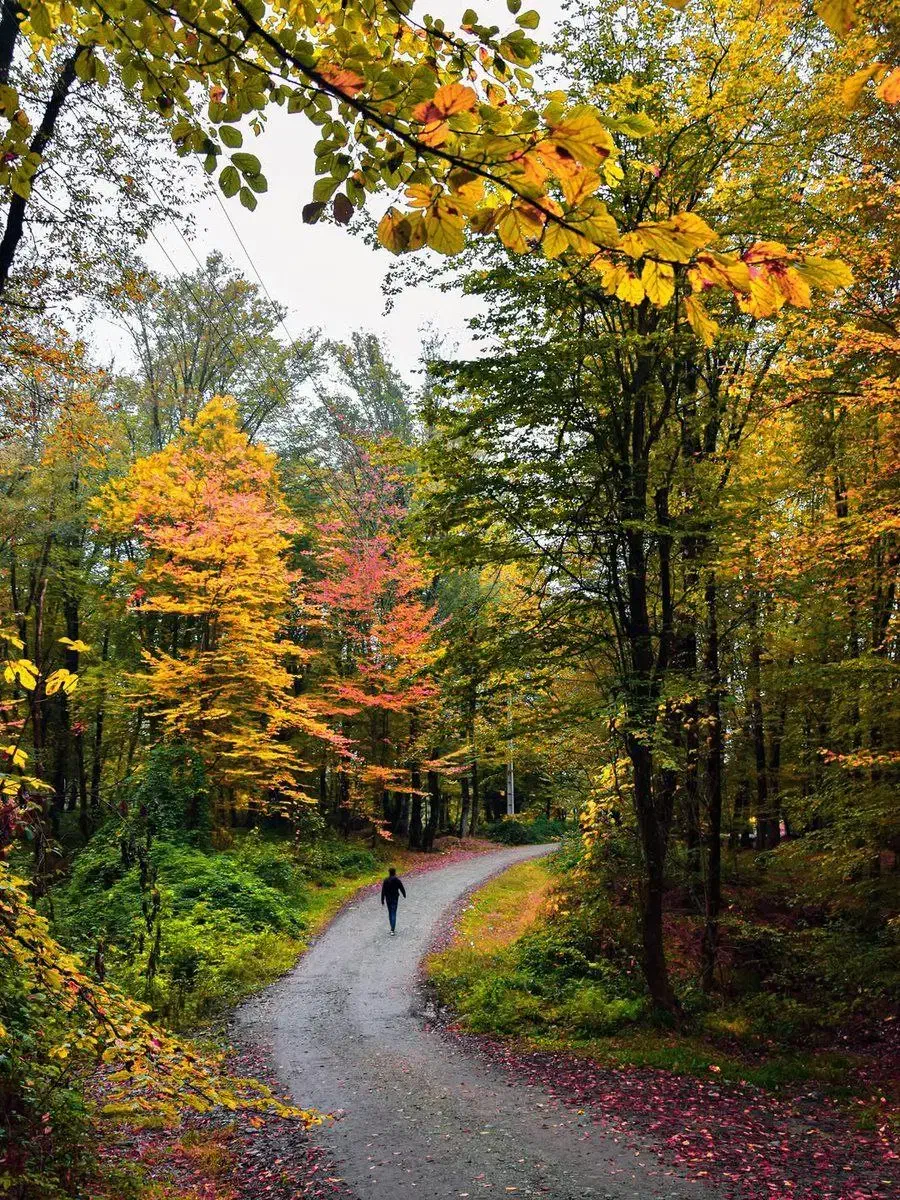 کارت هدیه ورود به برنامه کسب درآمد در منزل|کارت هدیه و تخفیف|ازنا, |دیوار