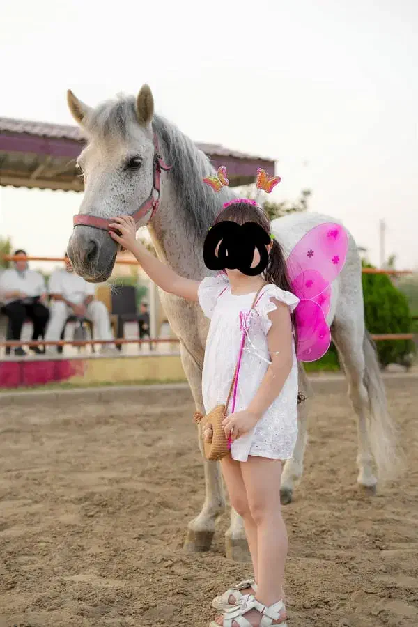 پونی دو رگ فلابلا کاسپین|اسب و تجهیزات اسب‌سواری|گنبد کاووس, |دیوار