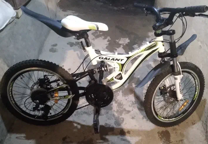 دو چرخه|دوچرخه، اسکیت، اسکوتر|دینور, |دیوار