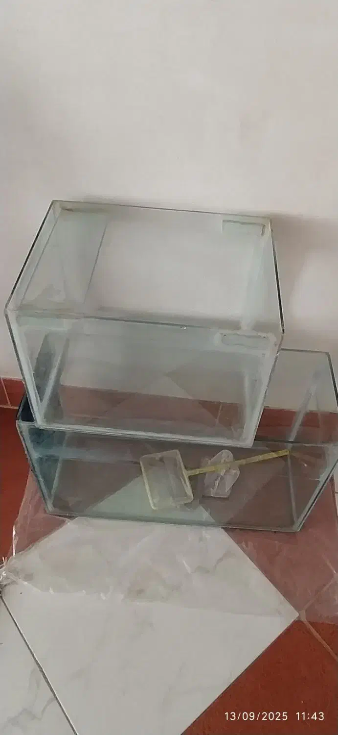 آکواریوم|ماهی|بروجرد, |دیوار