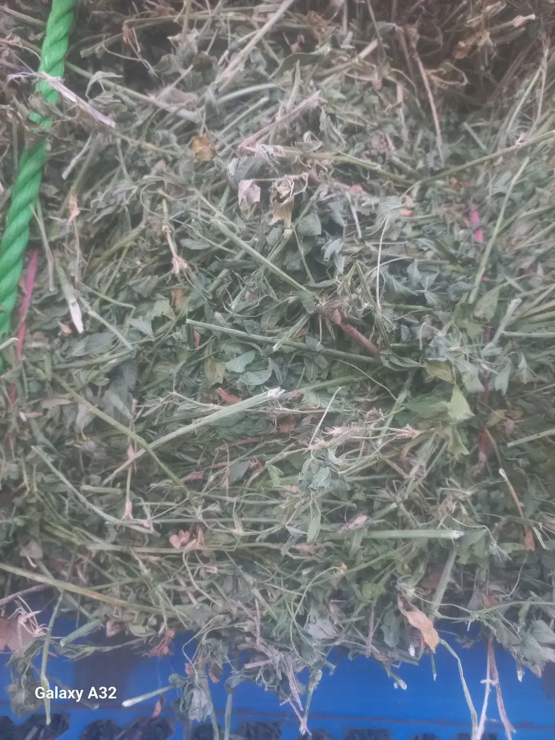 یونجه پرگل|لوازم جانبی حیوانات|نظر کهریزی, |دیوار