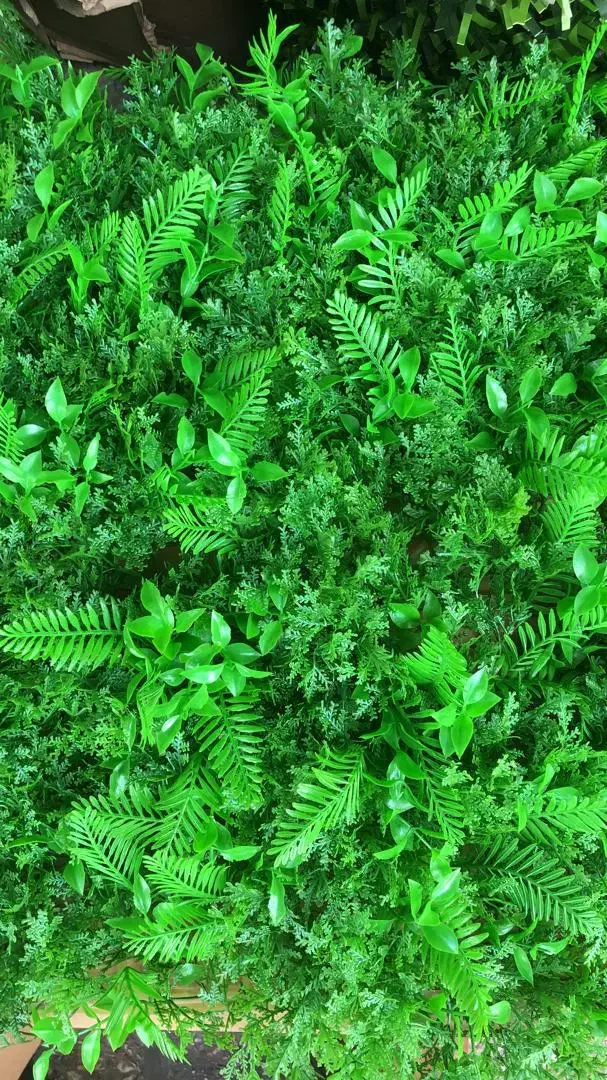 توزیع انواع چمن، فنس،سنگ رودخانه|عمده‌فروشی|رشت, معلولین|دیوار