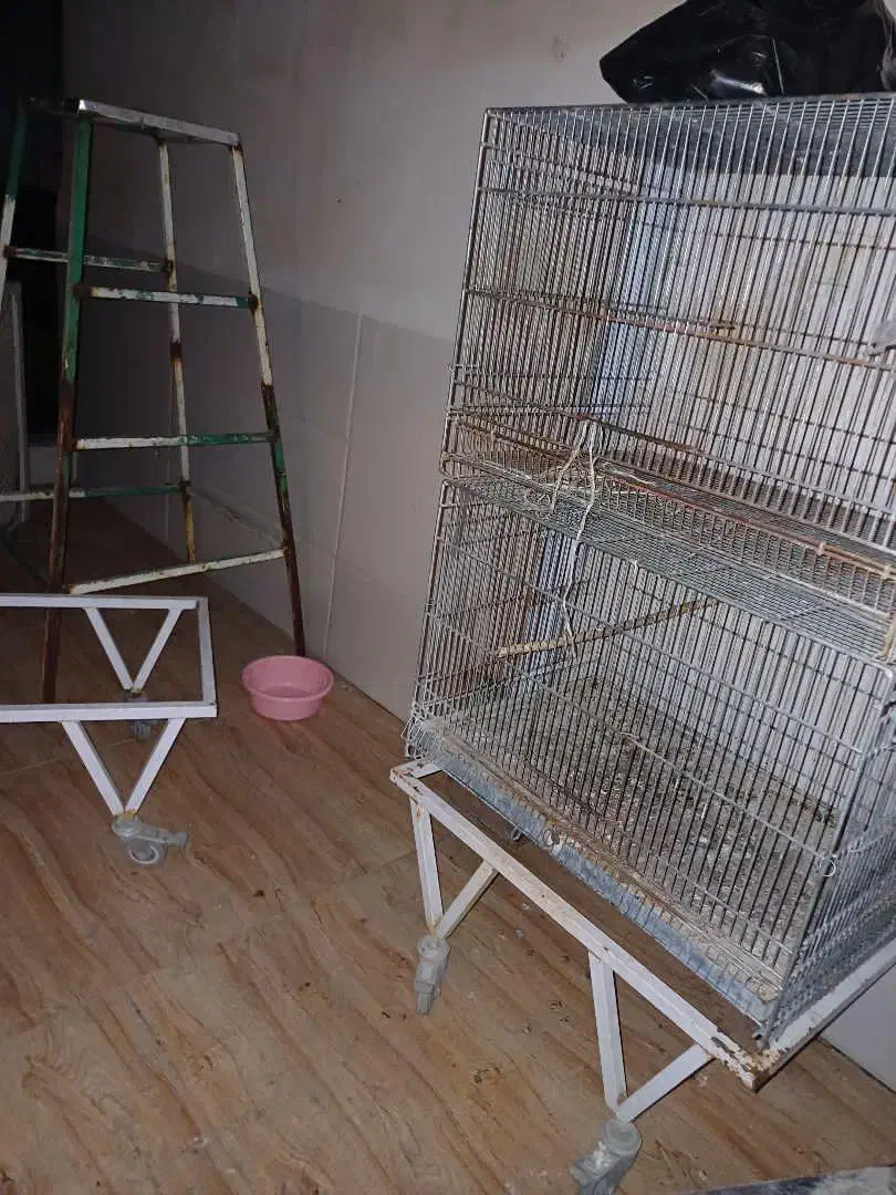 دوعدد قعس پژاوندی ۶۴در۴۰ همراه پایه|لوازم جانبی حیوانات|آزادشهر, |دیوار