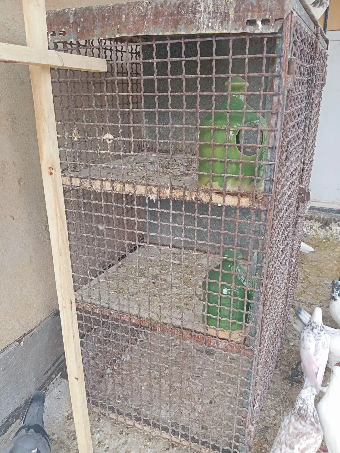 قفس جفتگان|لوازم جانبی حیوانات|سمنان, |دیوار